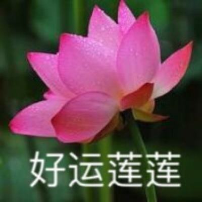 【文化评析】探寻简牍里的中华文明
